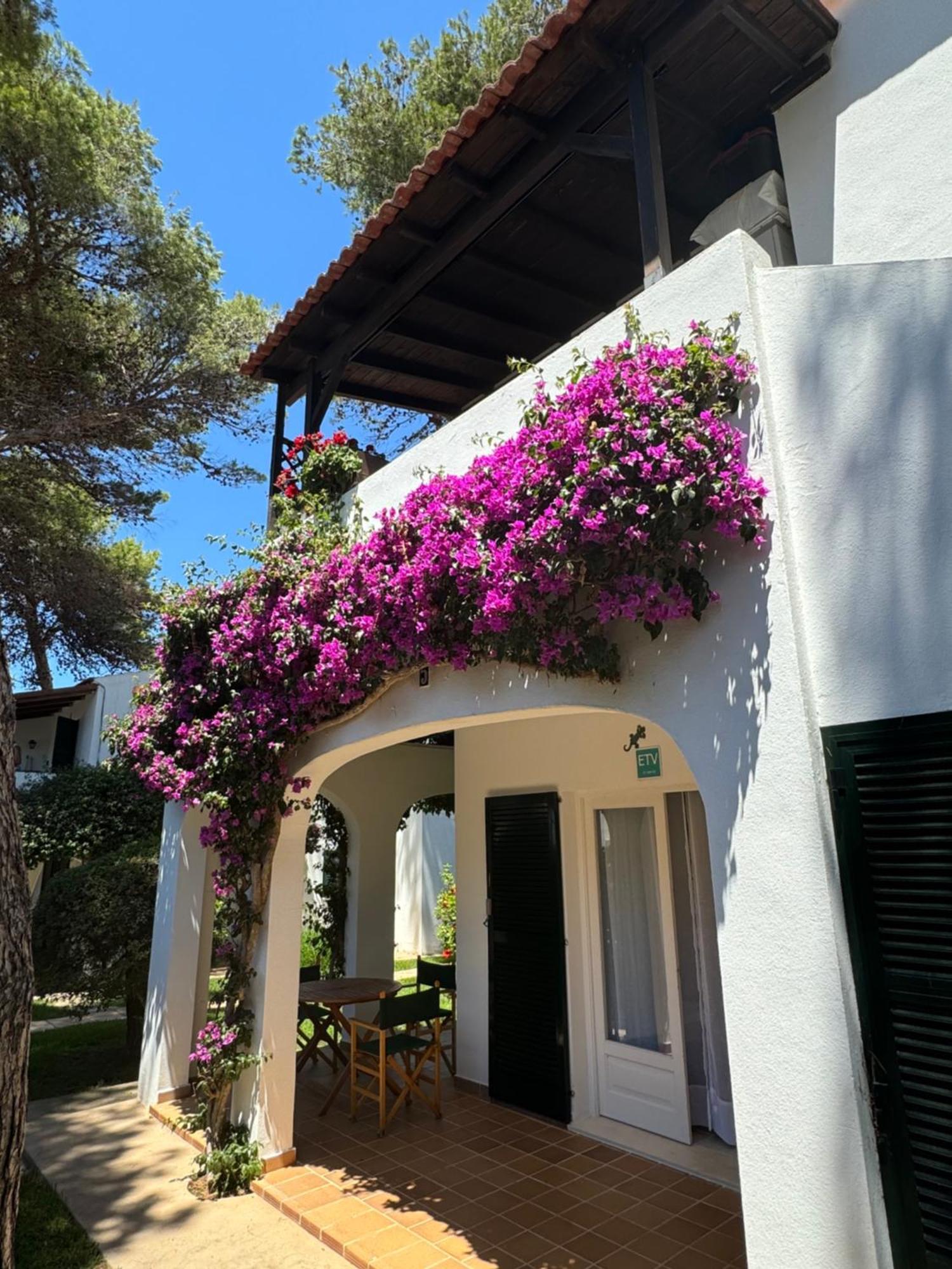 Apartment With Garden And Swimming And Beach Cala Blanca  Exterior foto